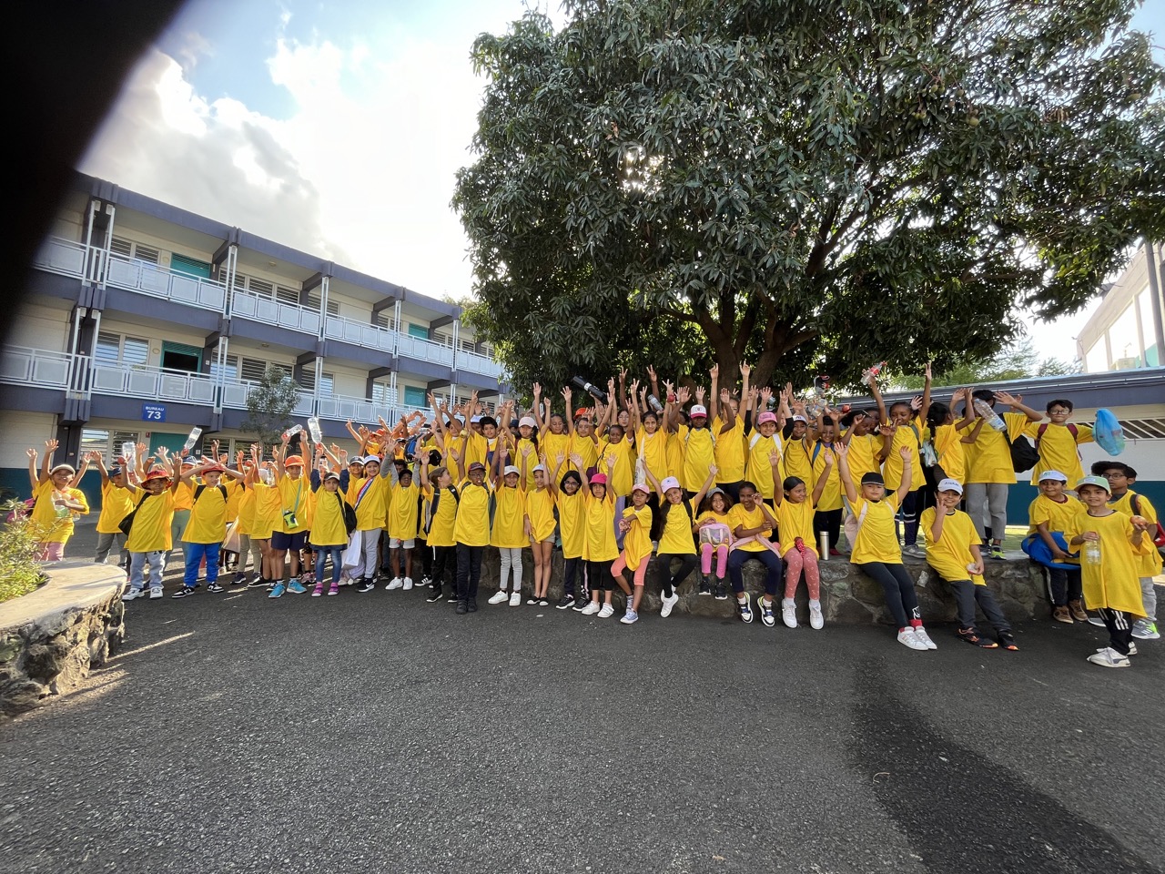 clean up st pierre