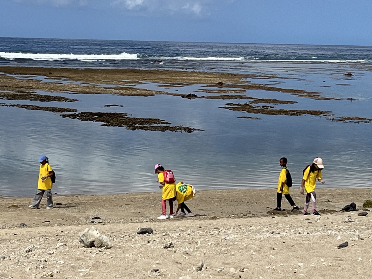 clean up st pierre