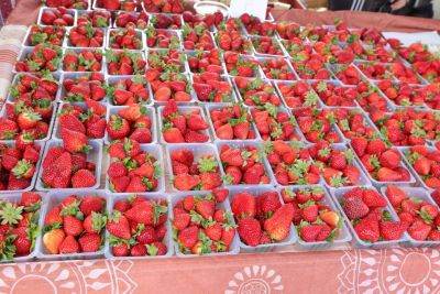 25ième édition de la fête de la fraise réussie