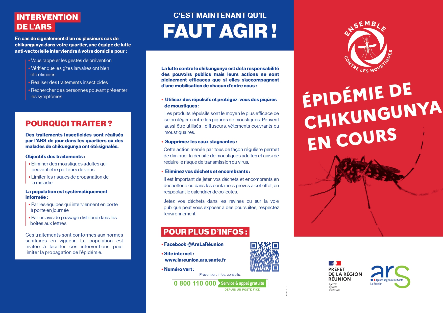 Epidémie de Chikungunya : un haut niveau de transmission