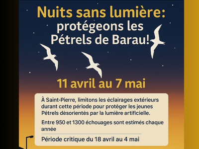 "Les jours de la nuit" : Saint-Pierre participe dès le 11 avril aux "Nuits sans lumière 2025"