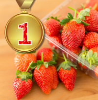 Fête de la fraise 2025