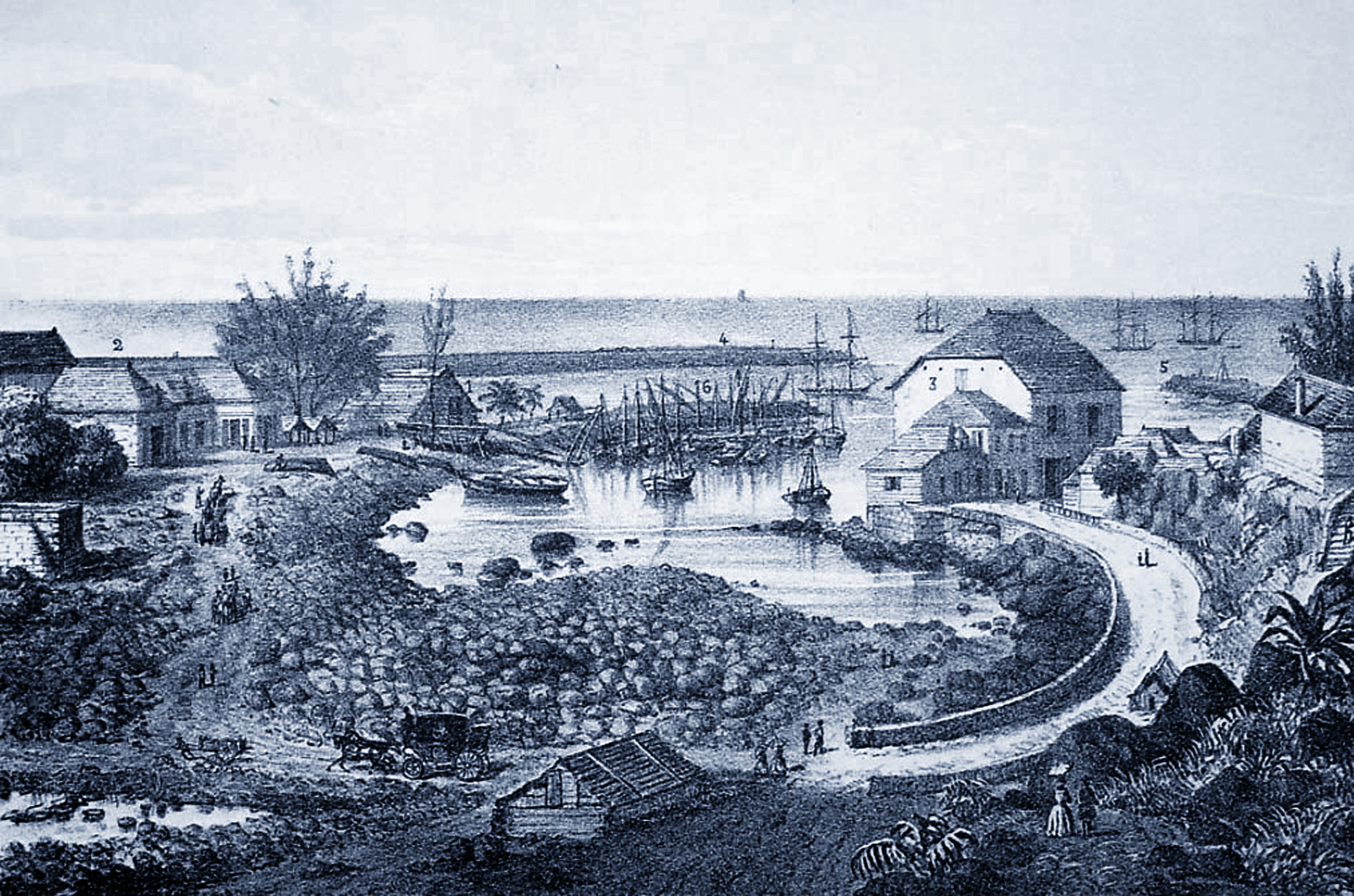 Histoire de la ville