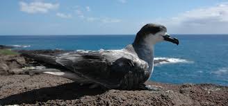 Les jours de la nuit 2026