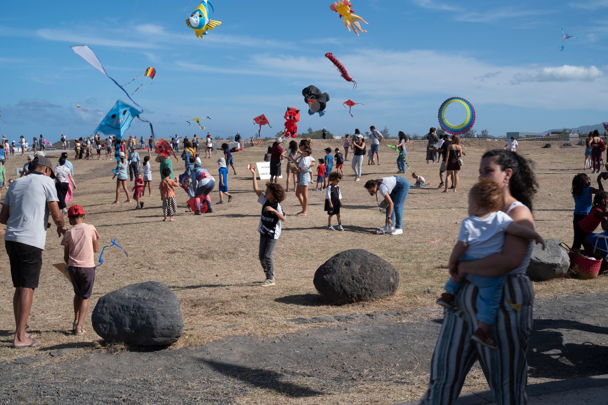 Festival du cerf volant 
