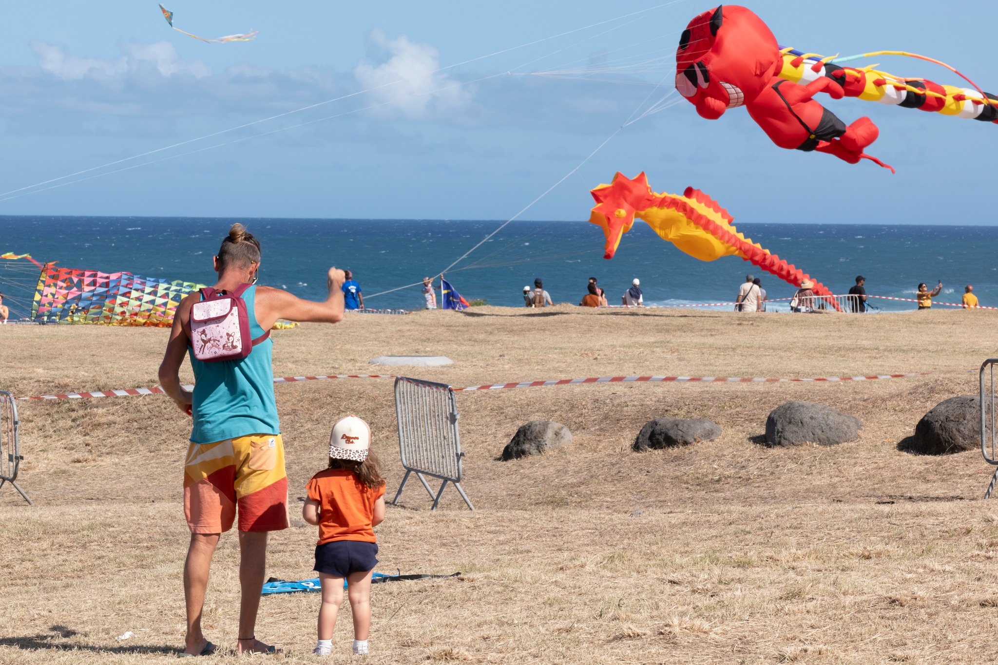 Festival du cerf volant 