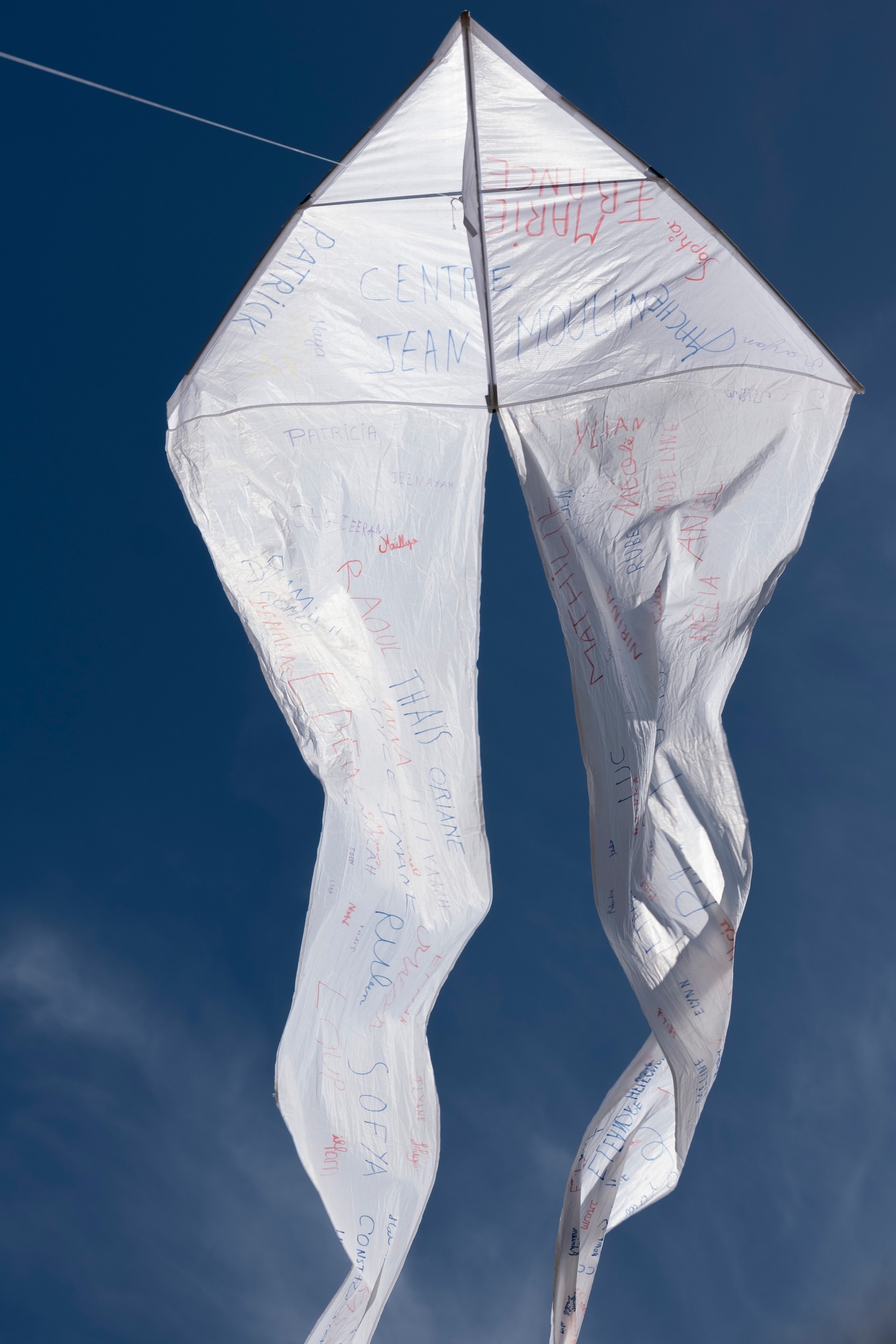 Festival du cerf volant 