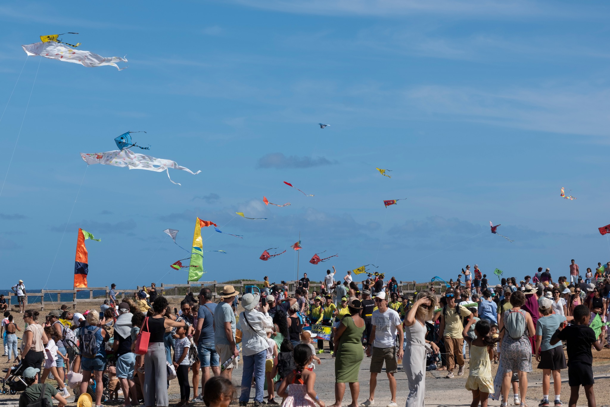 Festival du cerf volant 