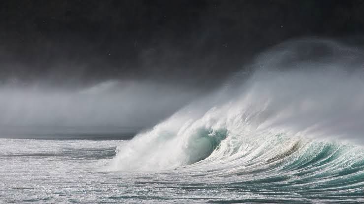 Vigilance vagues-submersion