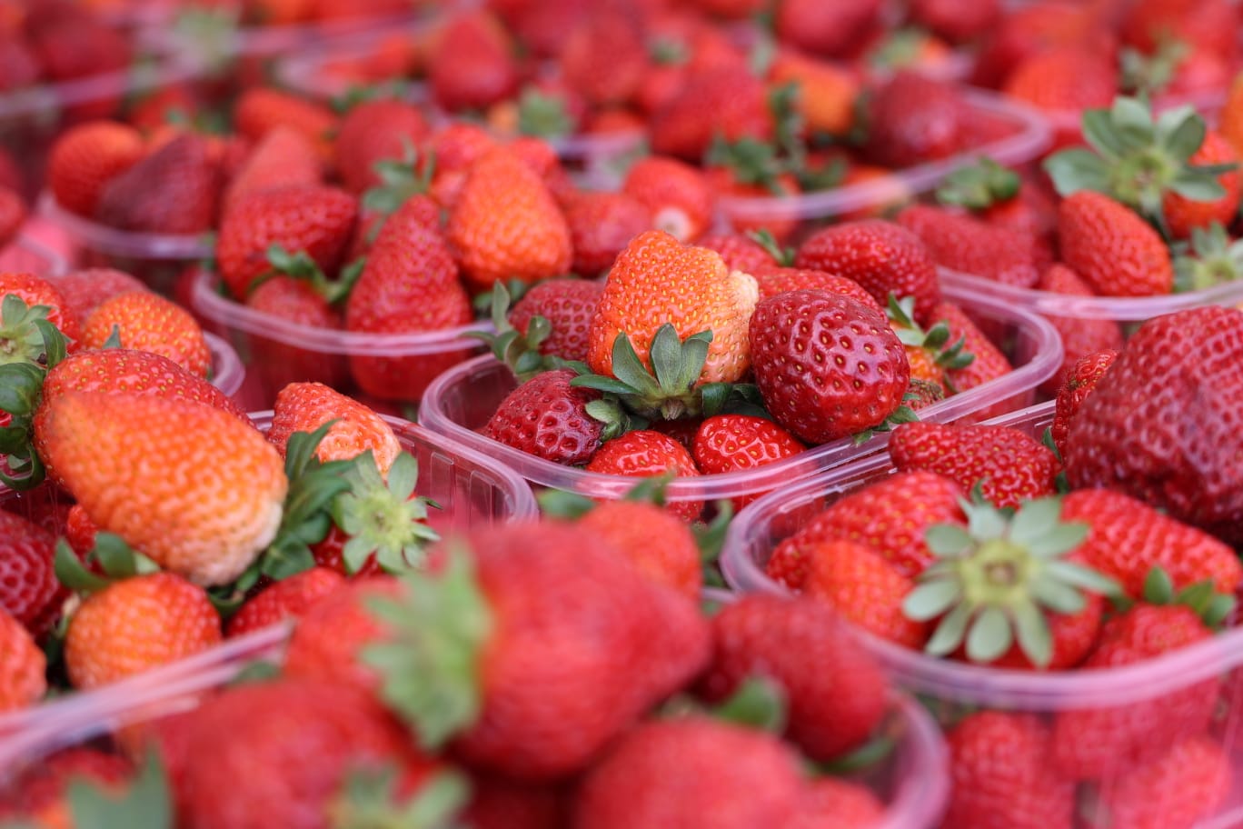 fête de la fraise