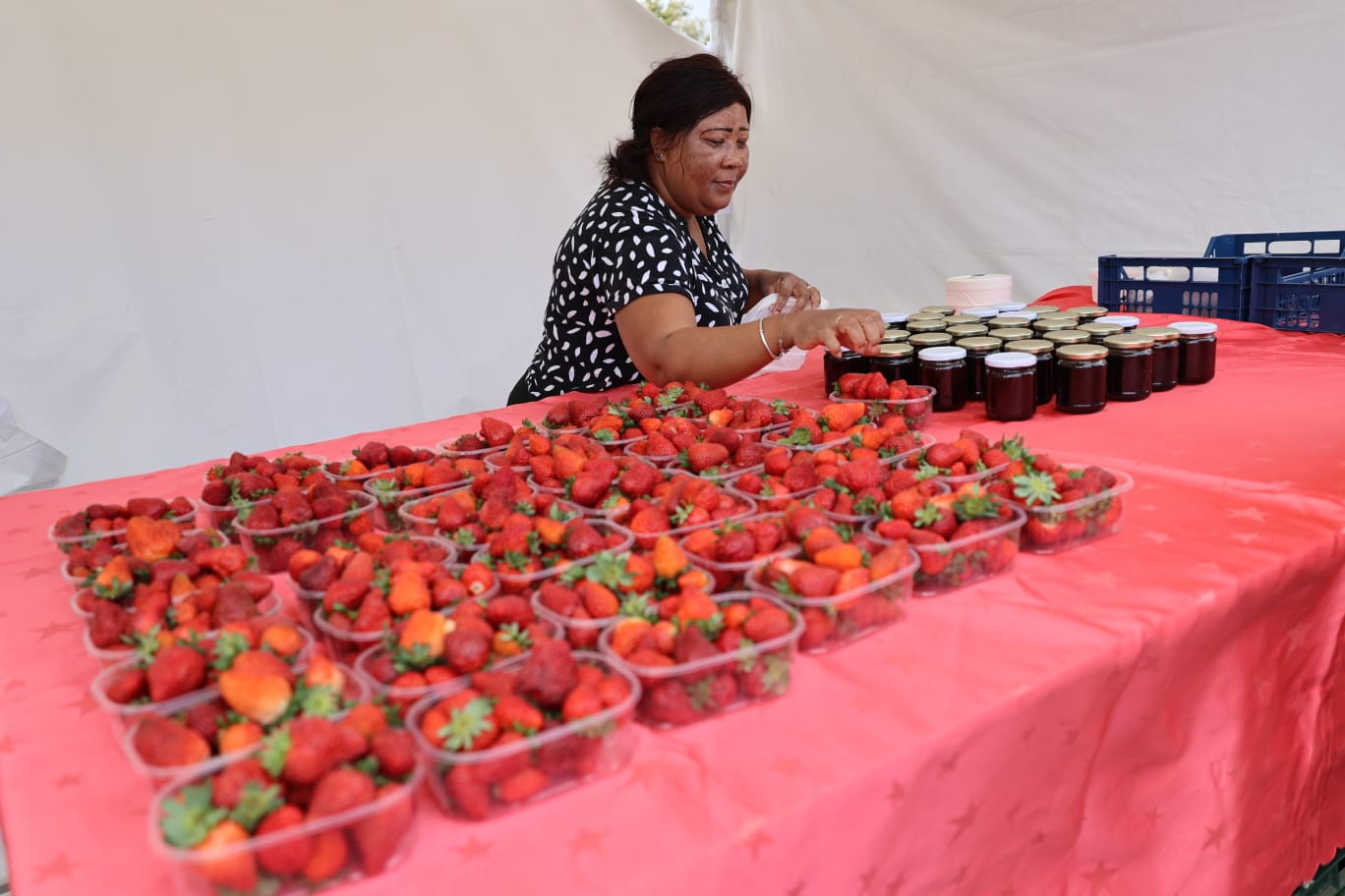 fête de la fraise