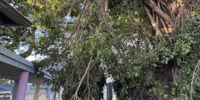 Infos post-cyclone : CENTRE AERE annulé les 3 et 4 mars et BAIGNADE INTERDITE