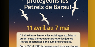 "Les jours de la nuit" : Saint-Pierre participe dès le 11 avril aux "Nuits sans lumière 2025"