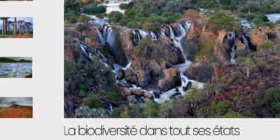 "Nature, la biodiversité dans tous ses états"