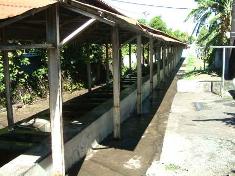 Lavoir de Casabona