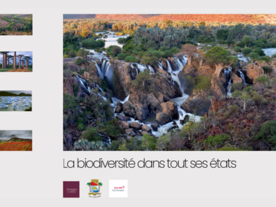 La biodiversité dans tous ses états - exposition photos