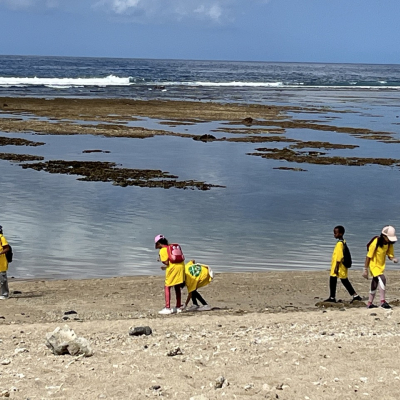 clean up st pierre