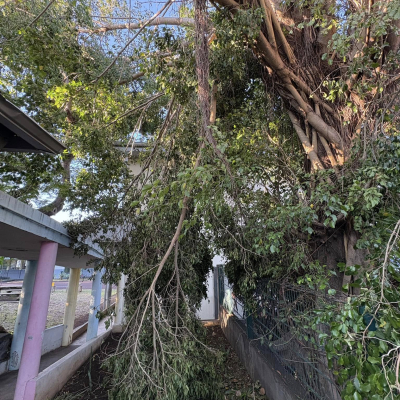 Infos post-cyclone : CENTRE AERE annulé les 3 et 4 mars et BAIGNADE INTERDITE