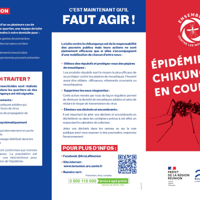Epidémie de Chikungunya : un haut niveau de transmission