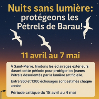 "Les jours de la  nuit" : Saint-Pierre participe dès le 11 avril aux "Nuits sans lumière 2025" 