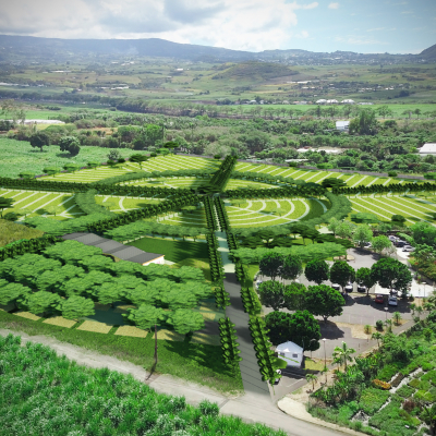 Projet cimetière Ligne Paradis